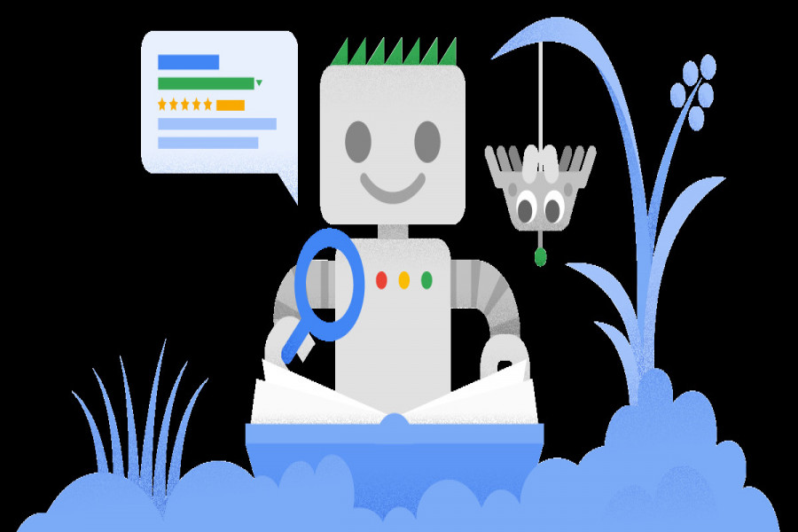 SEO & Local Search